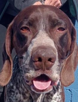 Ragnar ein Menschenfreund - Morsbach