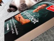 3 Britisch Kurzhaar Kitten suchen ein liebevolles Zuhause! - Wiesbaden