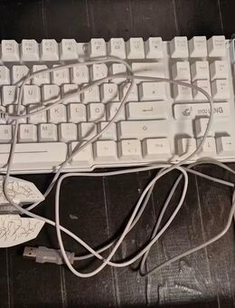 Beleuchtete USB Kabelmaus und USB Kabeltastatur. - Barsinghausen