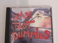 Live & alive (live in U.S.A. 1994) von Crash Test Dummies - Essen