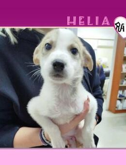 Helia - kleiner Sonnenschein! - Alfeld (Leine)