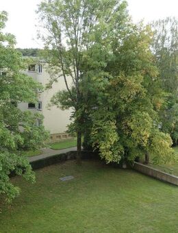 Exklusive 3-Zimmer-Wohnung mit Süd-Loggia in Oberursel-Nord - Oberursel (Taunus)