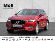 Volvo XC60 Momentum Pro AWD B4 Diesel EU6d Allrad Navi Leder digitales Cockpit Soundsystem - Aachen