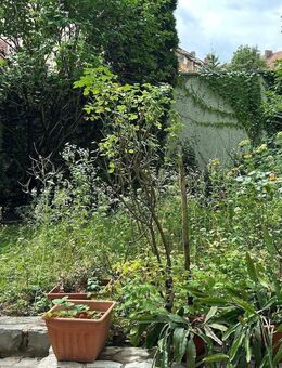 Die Maklerinnen präsentieren: ruhige 3 Zimmer Whg. mit Balkon - Nürnberg