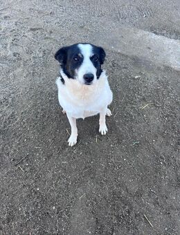 Mama sucht ihr Glück - Leipzig