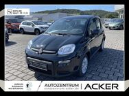 Fiat Panda, 1.0 NEU GSE Hybrid, Jahr 2024 - Marburg