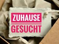 Ich suche eine Wohnung in Bautzen oder Umgebung - Bautzen