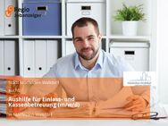 Aushilfe für Einlass- und Kassenbetreuung (m/w/d) - Mörfelden-Walldorf