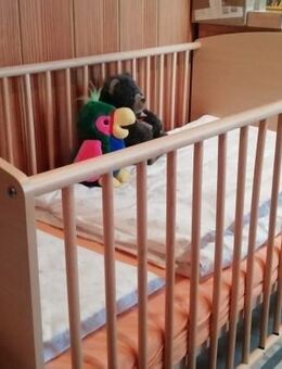 Baby und Kleinkinderbett mit Matratze - Echzell