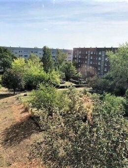 2 Raum-Wohnung - Halle (Saale)