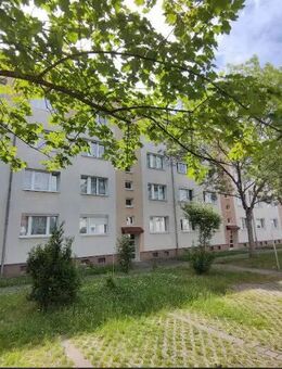 Moderne 4 Raum Wohnung mit Balkon nur 300m zum Zwenkauer See - Zwenkau