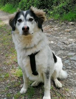 Lisa möchte ein ländliches Zuhause - Grasbrunn