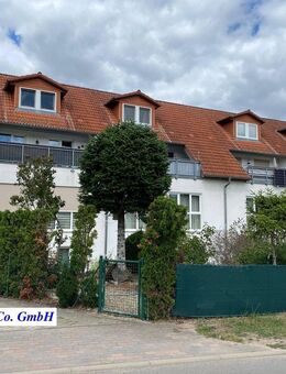 20.11.2025 um 16 Uhr Besichtigung- Mietergarten und frisch renovierte Wohnung suchen neue Bewohner - Werder (Havel)