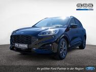 Ford Kuga, ST-LINE X, Jahr 2024 - Halle (Saale)