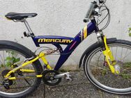 Mountainbike Mercury Fahrrad 26 Zoll - Höchstadt (Aisch)