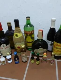 Boonekamp Remy Martin Sherry Magenbitter Eiswein Likör Weizenkorn mit Zitrone Wein 19 FlaschenSpirituosen Alkohol - Köln