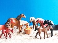 Playmobil Island-Ponys mit Fohlen und Zubehör - Leverkusen