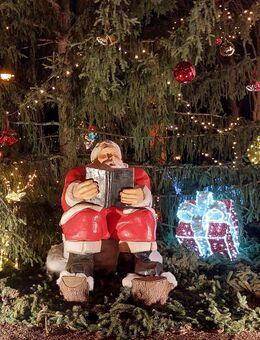 Partnerin gesucht - Dresden