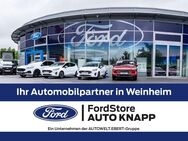 Ford Fiesta Cool & Connect Winter Paket AHK Dyn. Kurvenlicht Apple CarPlay Android Auto - Weinheim