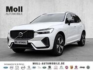 Volvo XC60 Plus Dark Recharge Plug-In Hybrid AWD T6 Twin Engine EU6d Allrad StandHZG digitales Cockpit - Aachen