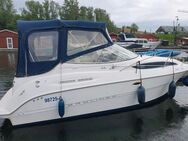 Sportboot/ Kajütboot Bayliner Cierra 2455 - Emmerich (Rhein)