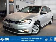 VW Golf, 1.5 TSI 7 Comfortline, Jahr 2018 - Blomberg (Nordrhein-Westfalen)