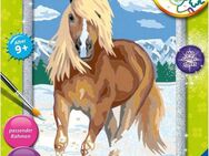 Ravensburger Malen nach Zahlen Haflinger im Schnee, Made in Europe
