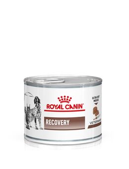 Royal Canin Veterinary Canine Recovery Mousse - 24 x 195 g