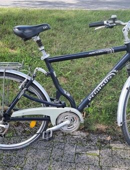 Pegasus Arcona 28 Zoll Fahrrad - Wassenberg