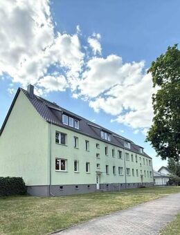 Naturerlebnispfad direkt vor der Türe sowie Seenähe - 1. OG - Erholungsort Müllrose - Müllrose
