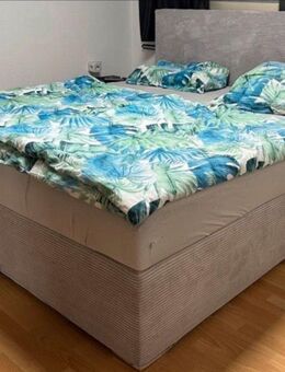BOXSPRINGBETT cord grau - Gärtringen