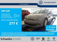 VW Golf, 1.5 TSI VIII Active 8-fach, Jahr 2023 - Gersthofen