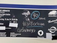 2x Tickets (Sitzplatz) Herbert Grönemeyer 13.06.24 in Bochum - Hilden