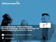 Sozialpädagoge, Sonderpädagoge, Diplom-Pädagoge, Diplom-Psychologe als Bereichsleitung (m/w/d) für unser Wohnheim - Hodenhagen