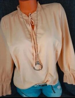 Bluse apricot fair lady 36 plissee - Berlin