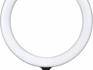 LED-Ringleuchte Studiolicht 3.000K bis 6.000K 12 " 30,48 cm Godox - Berlin Neukölln