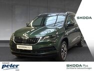 Skoda Karoq, DRIVE, Jahr 2020 - Nordhausen