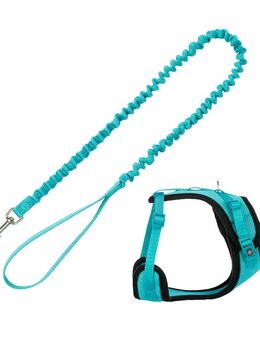 Trixie Mesh Y-Geschirr mit elastischer Leine - türkis