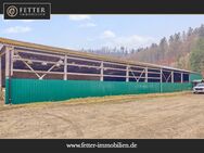 Reitanlage in Westfalen – Reitertraum im Dornröschenschlaf in Bad Laasphe - Bad Laasphe