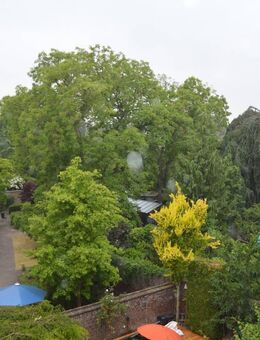 Wohnen im beliebten Gründerzeitviertel! 3,5 Zimmer mit Balkon - Mönchengladbach
