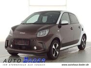 Smart forfour EQ Passion Exclusive 22kW LED Kamera - Mittelstetten