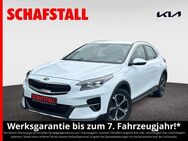 Kia - Bergheim (Nordrhein-Westfalen)