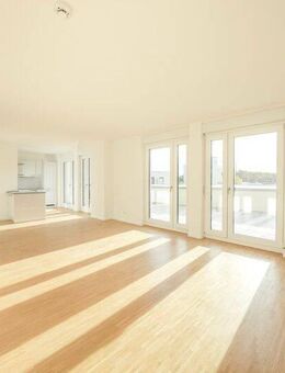 Naturnah am Neckar! Großzügige Dachgeschosswohnung mit sonniger Terrasse und Traumküche! - Bad Friedrichshall