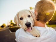 Einzigartig wie du: Dein Fertighaus von Bien-Zenker für ein Leben voller Glücksmomente! - Reken