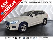 Volvo XC60, B4 Momentum Pro IntelliSafe WinterP, Jahr 2020 - Berlin