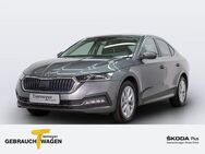 Skoda Octavia 2.0 TDI STYLE LM17 MATRIX SITZH VIRTUAL - Bochum