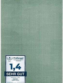 Andiamo Teppich Arezzo, rechteckig, Höhe: 16 mm, Uni Farben, weicher Flor, waschbar, ideal im Wohnzimmer & Schlafzimmer