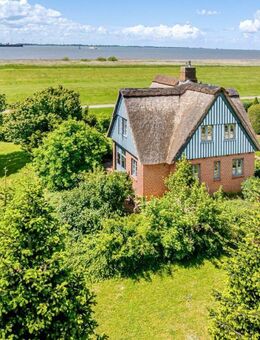 Rarität - Warfthaus direkt an der Elbe - Glückstadt