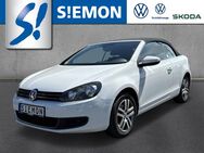 VW Golf, 1.2 TSI Cabriolet 6, Jahr 2012 - Lengerich (Nordrhein-Westfalen)