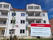 Neubau I Seniorengerechtes Wohnen mit Service - Eilenburg